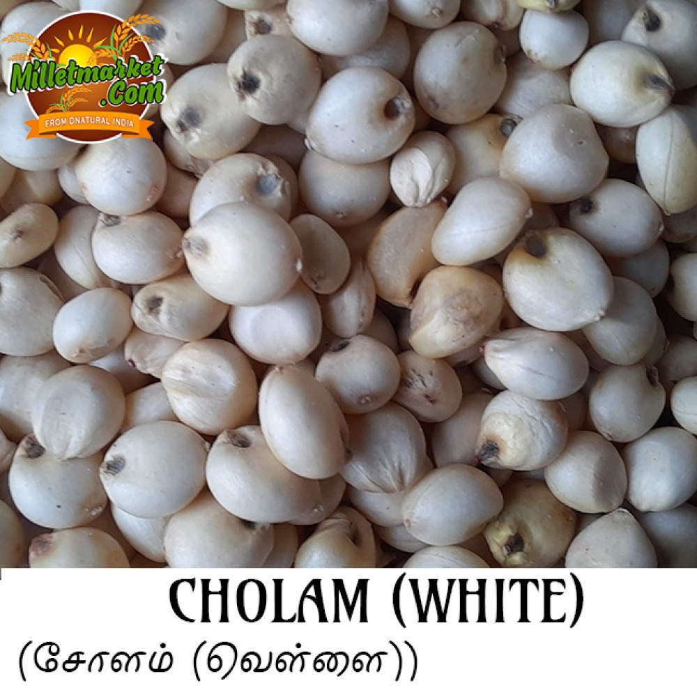 White Cholam Online India Millets Online Indian Millets Online White